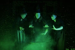 2013 Wyrd Sisters